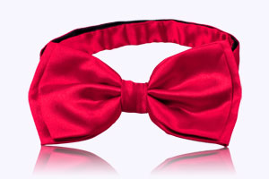 Polyester bowties